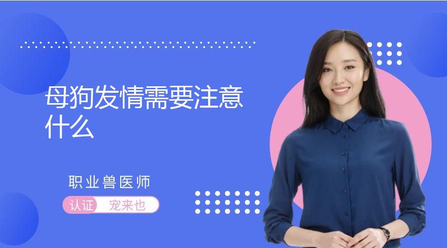 母狗发情需要注意什么