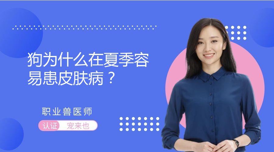 狗为什么在夏季容易患皮肤病？