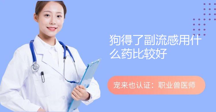 狗得了副流感用什么药比较好