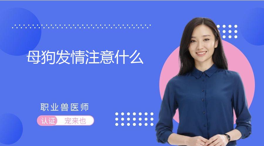 母狗发情注意什么